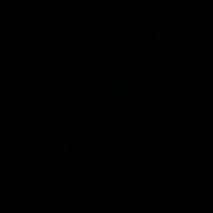 Meet your Posher, Ty